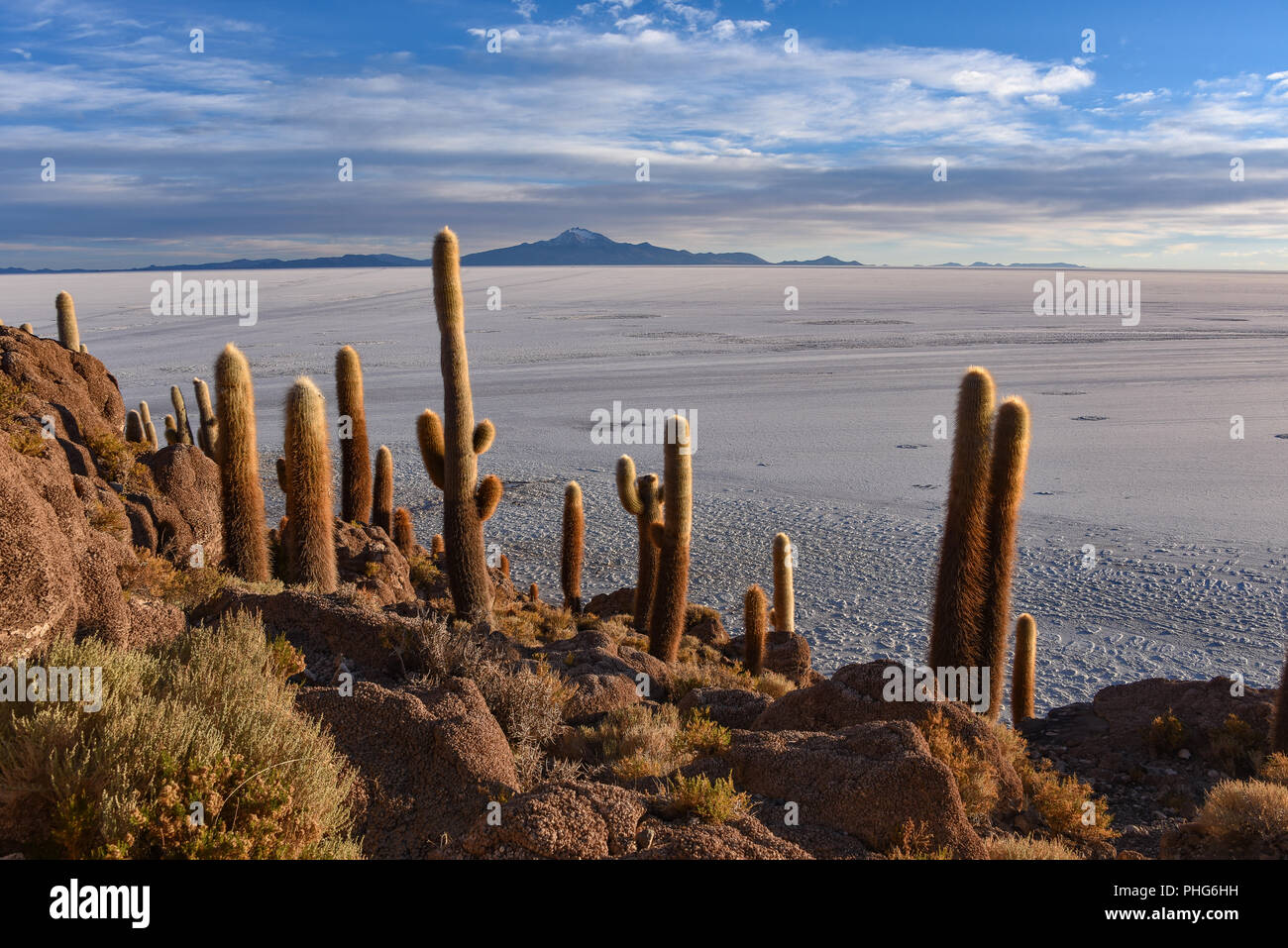 Sunrise on cactus incahuasi hi-res stock photography and images - Alamy