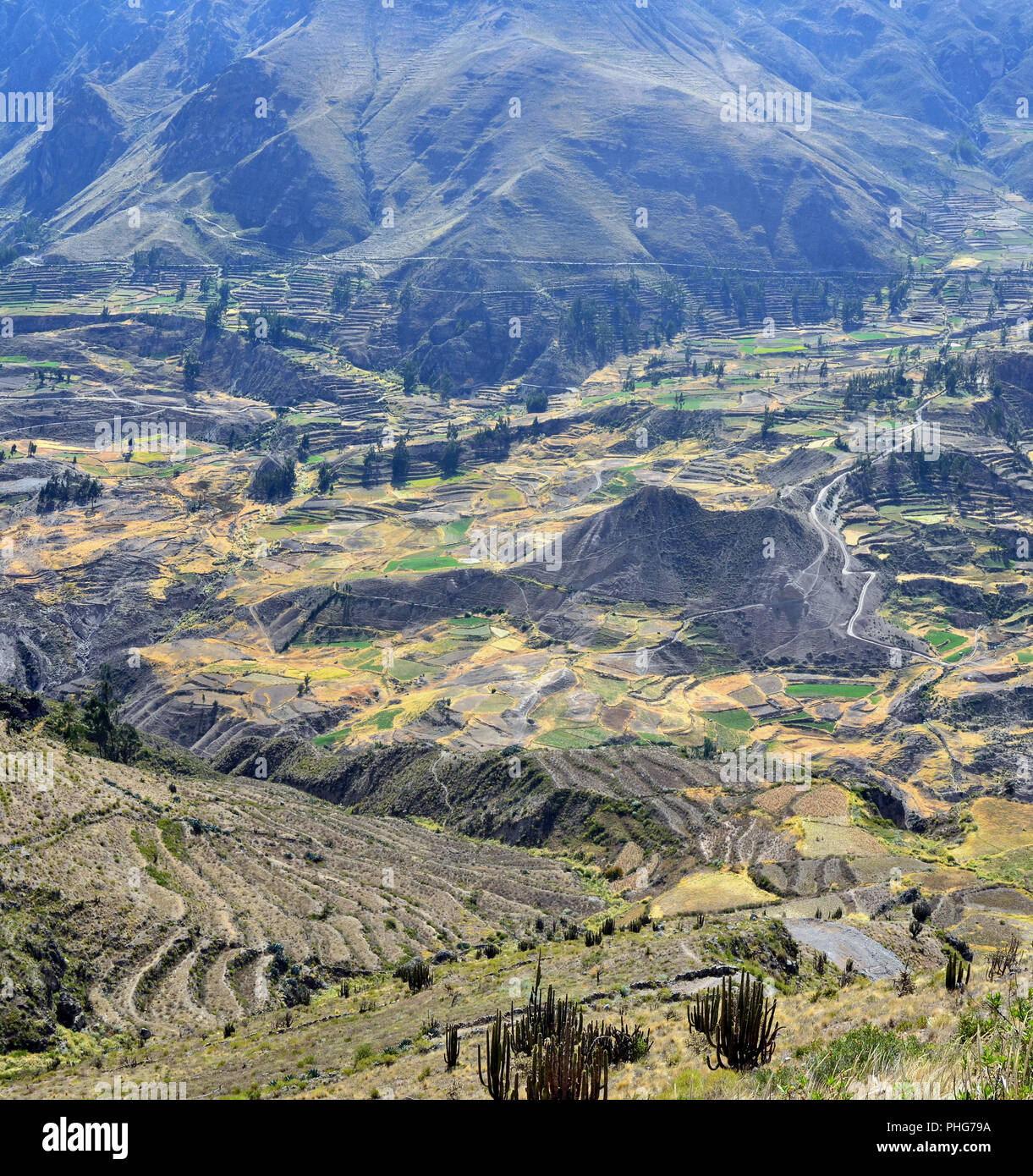 Sacred Valley with the cultivated farmer fields Stock Photo