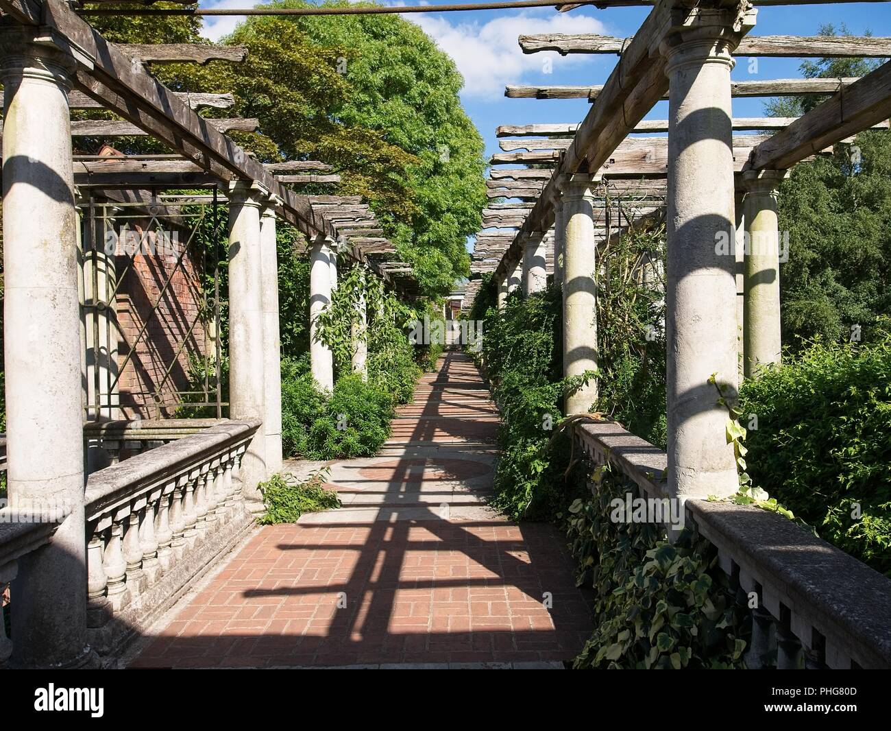Pergola with vines hi-res stock photography and images - Alamy
