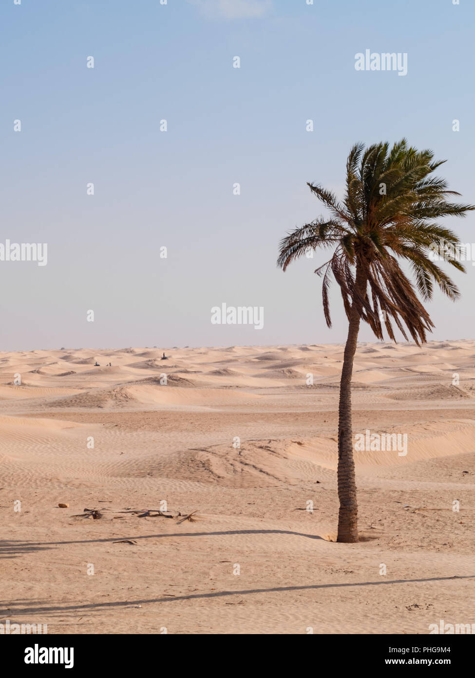 Douz-Tunisia, Sahara desert in southern Tunisia, sand dunes Stock Photo