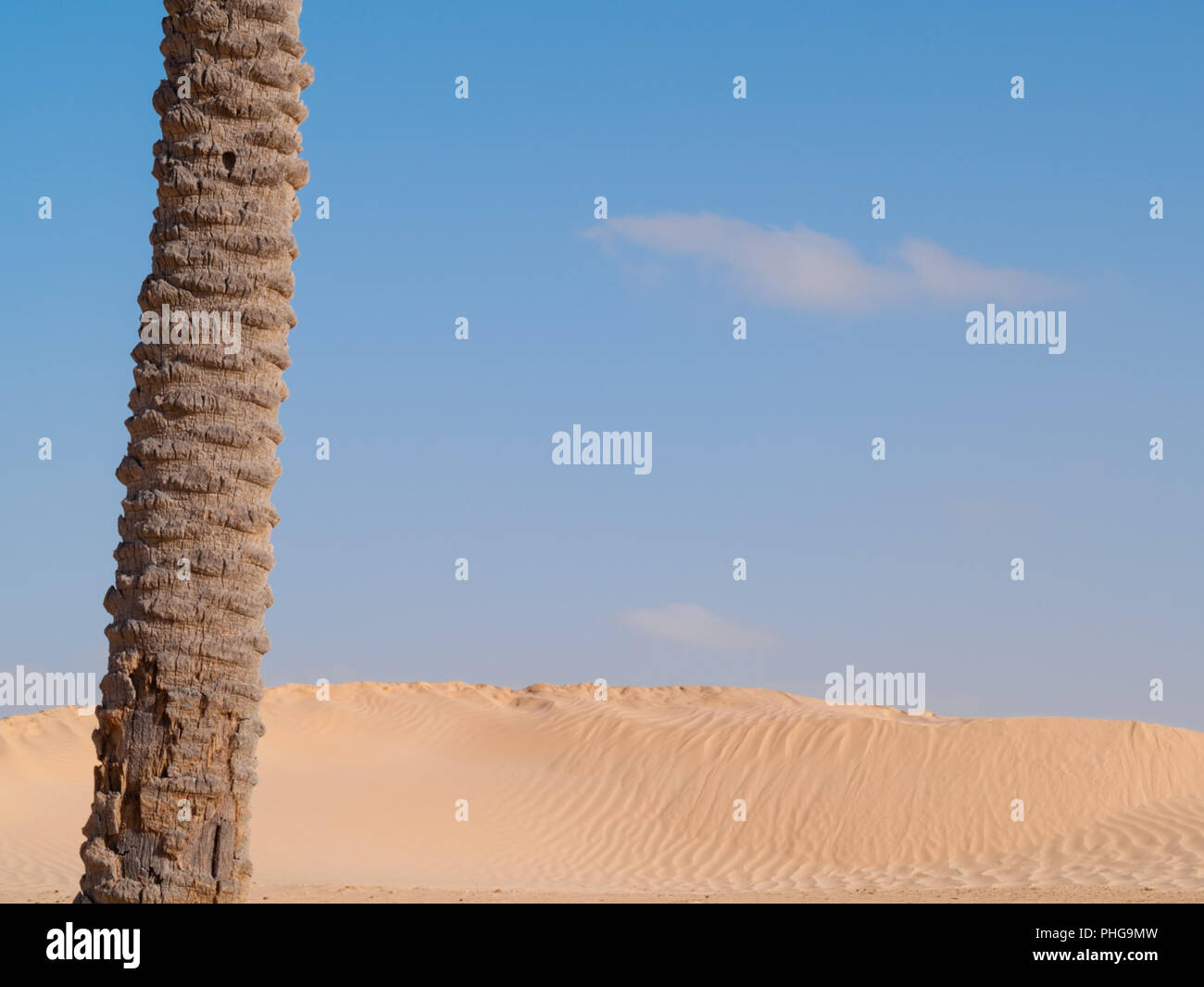 Douz-Tunisia, Sahara desert in southern Tunisia, sand dunes Stock Photo