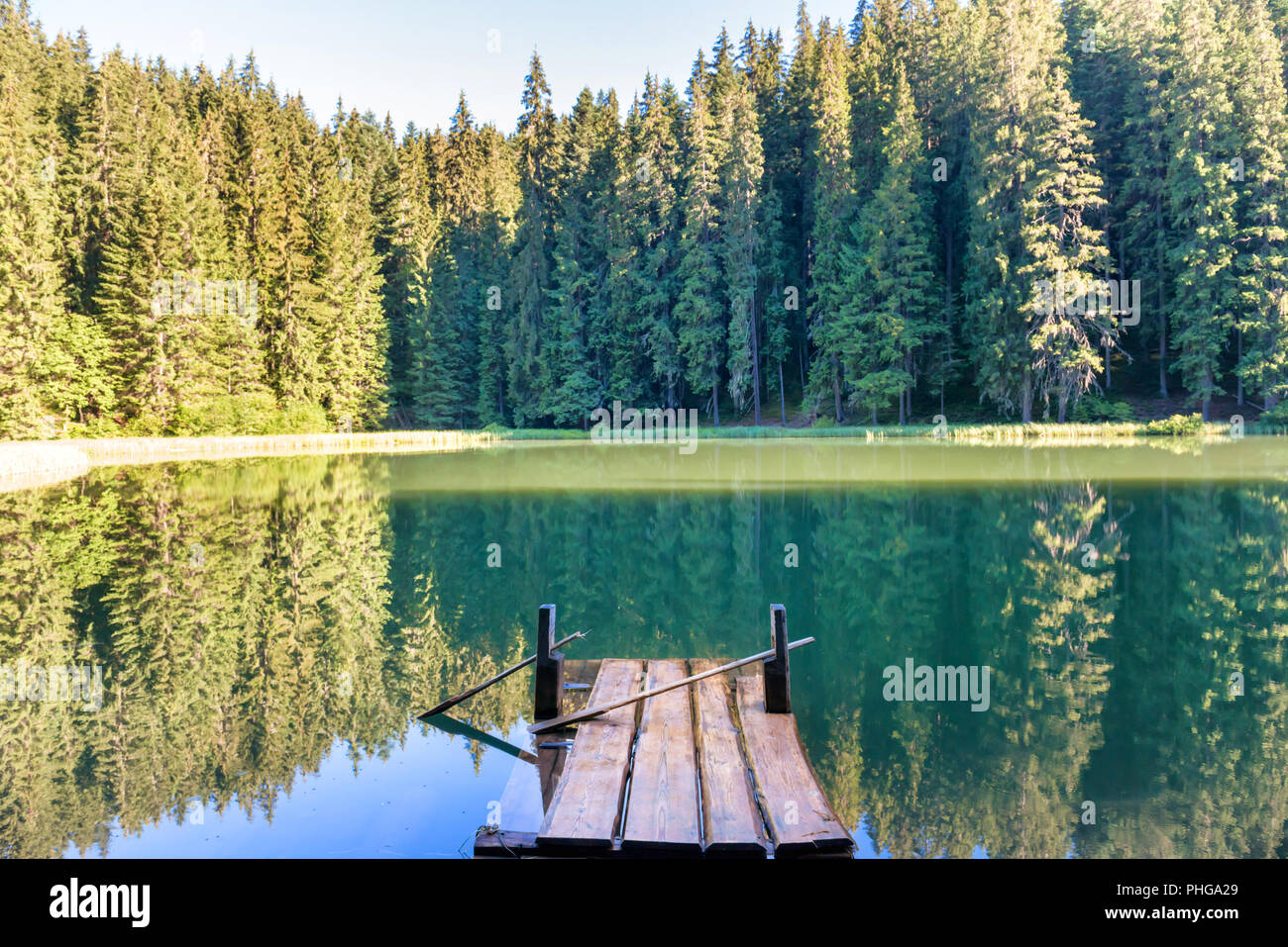 Forest lake in the mountains Stock Photo