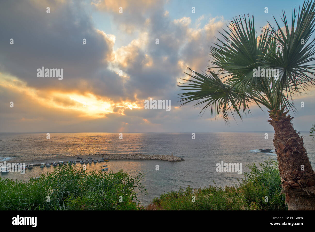 Sunrise over ocean palm tree hi-res stock photography and images - Alamy