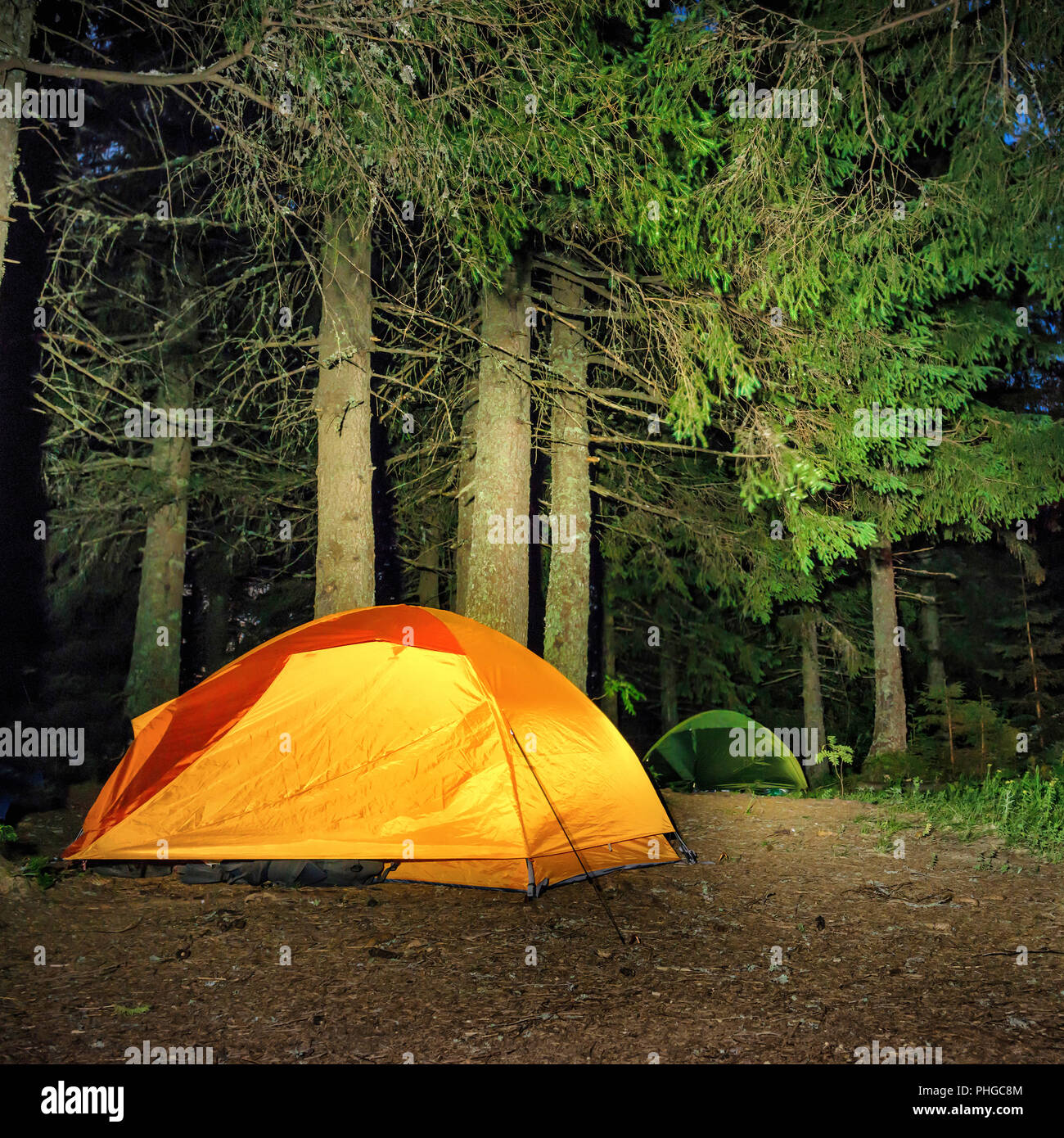 Camping in the forest Stock Photo - Alamy