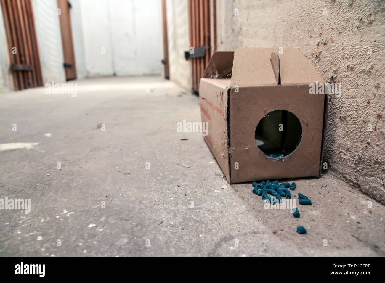 A picture of a paper rat trap with some pellets with poison outside of