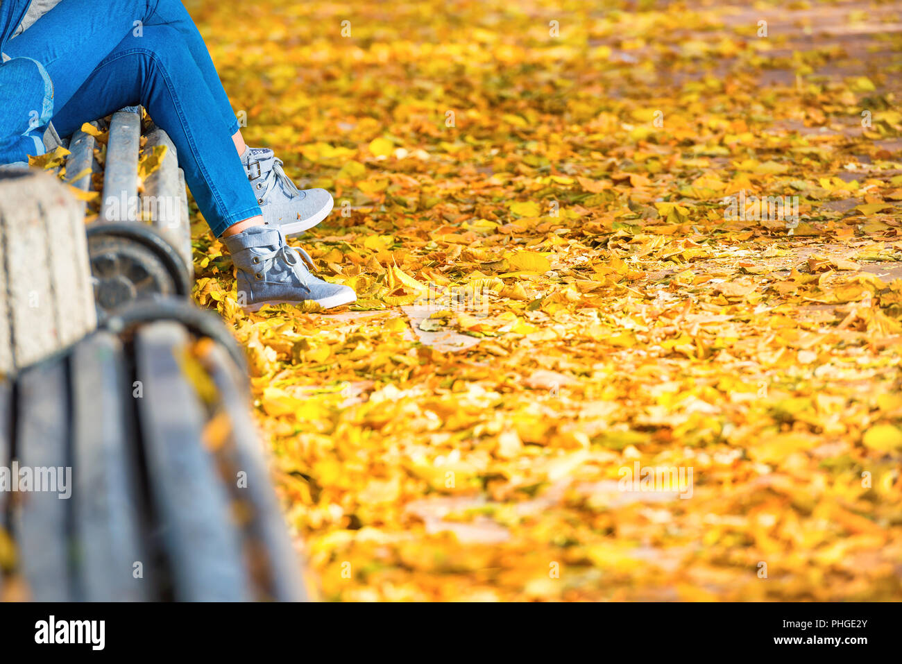 Young woman sitting park bench hi-res stock photography and images - Alamy