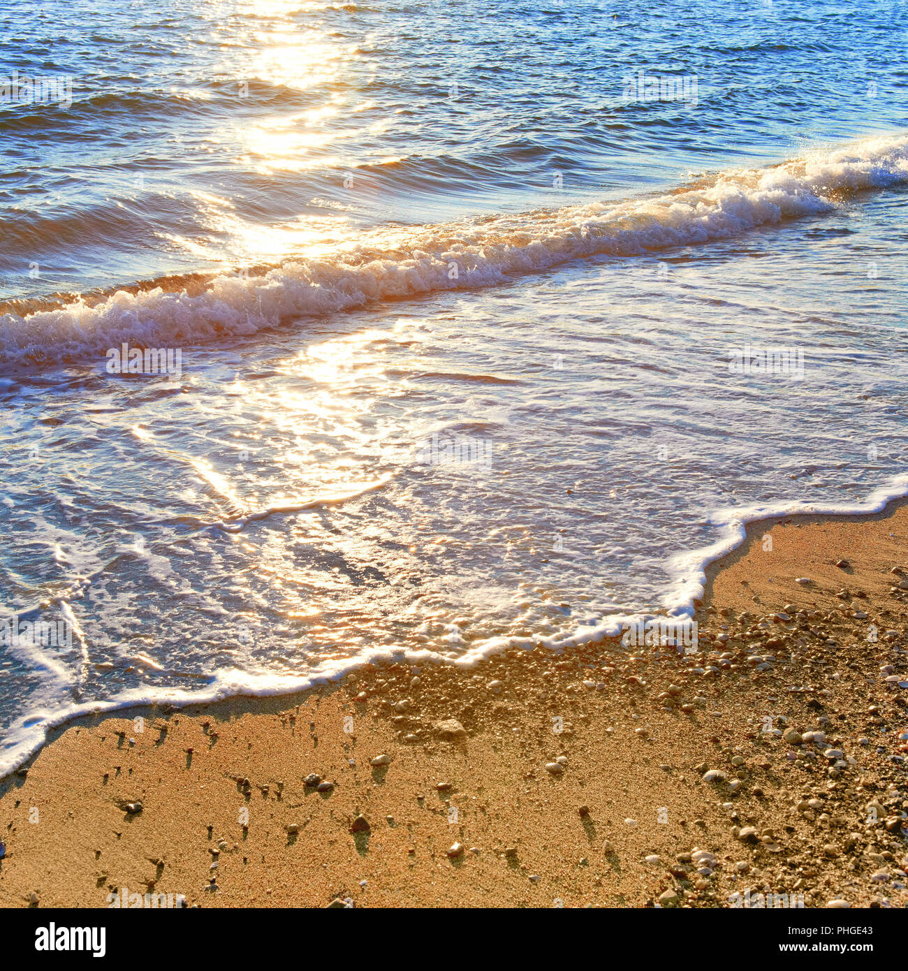 Sea surf on the sunny beach Stock Photo - Alamy