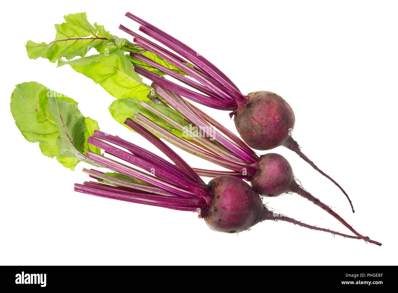 Spring roots and leaves of red beet Stock Photo