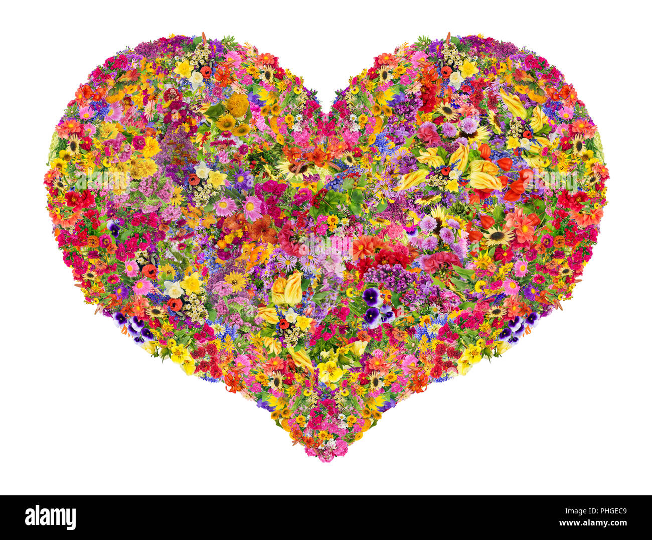 цветение сердца. любовные сердечки. руки любовь. летнее сердце. гармония и радость жизни.