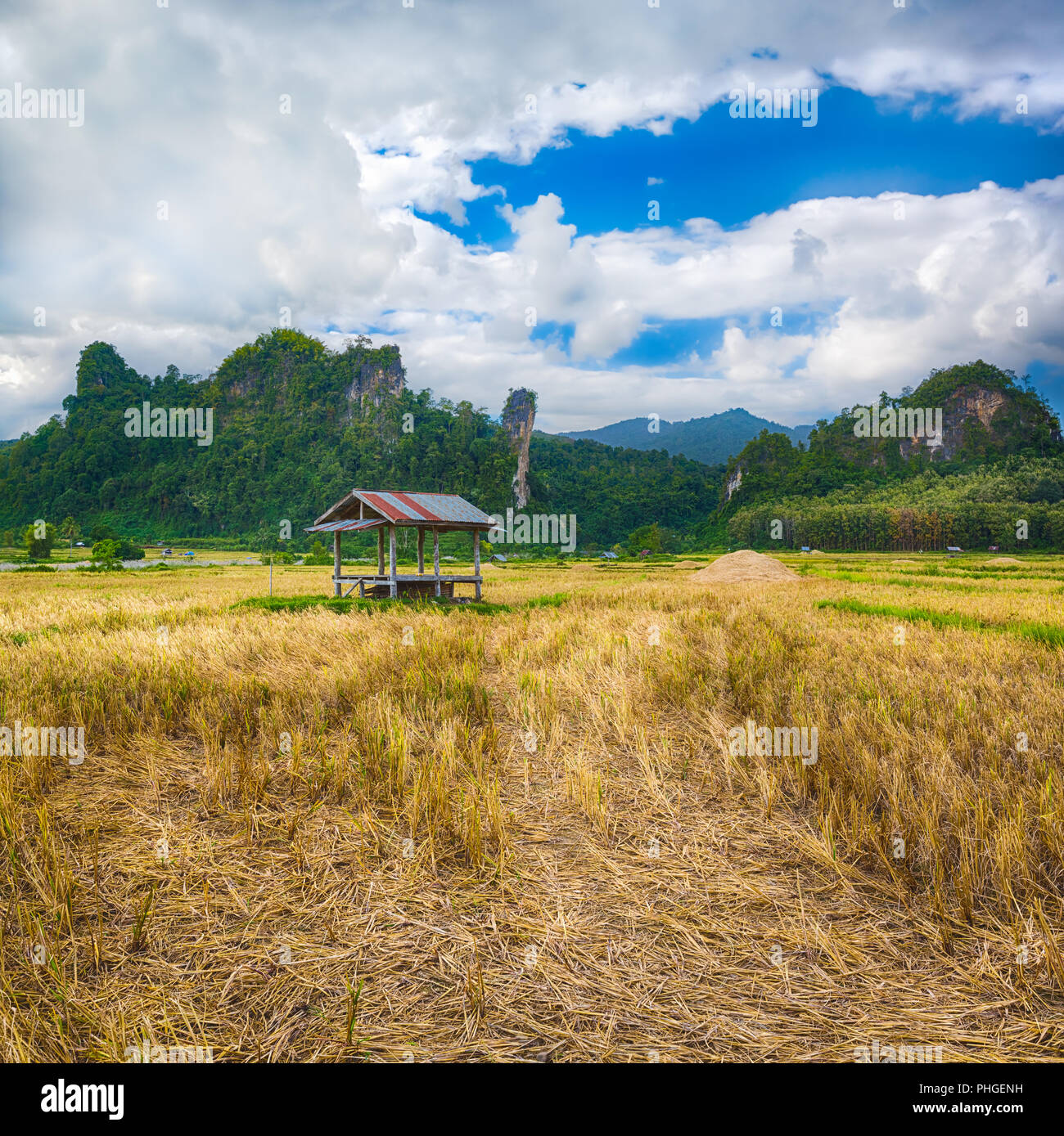 Beautiful rural landscape.Vang Vieng, Laos. Stock Photo