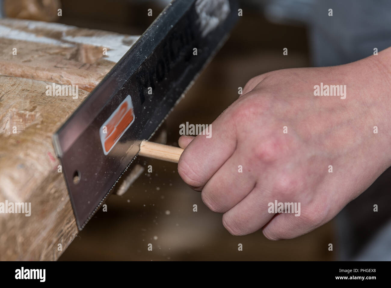 Carpenter saws with a hand saw wooden dowels - close-up Stock Photo