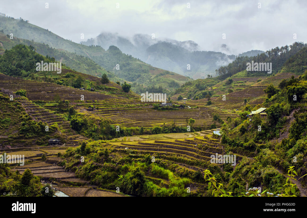 Mu Cang Chai (Yen Bai) Stock Photo