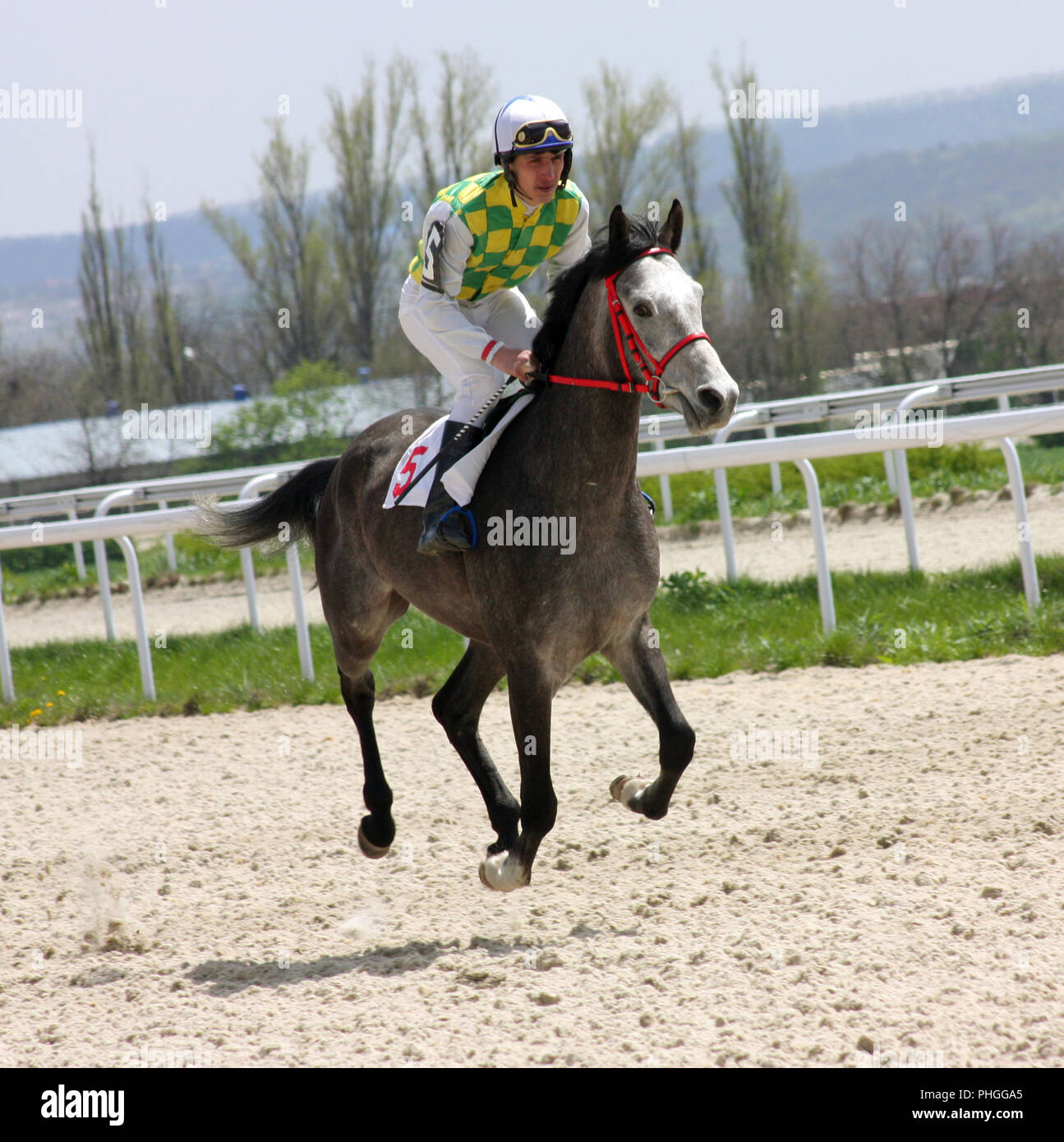 The jockey and arab stallion.Hippodrome in city Pyatigorsk,Caucasus,Russia. Stock Photo