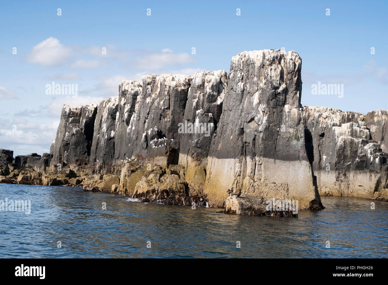 The Pinnacles, dolerite pillars, off Staple Island, Farne Islands, Northumberland, England, UK Stock Photo