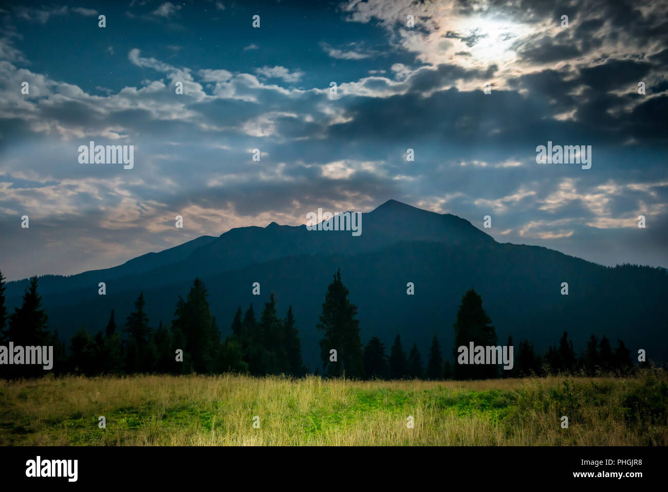 Grass dark night background hi-res stock photography and images - Alamy
