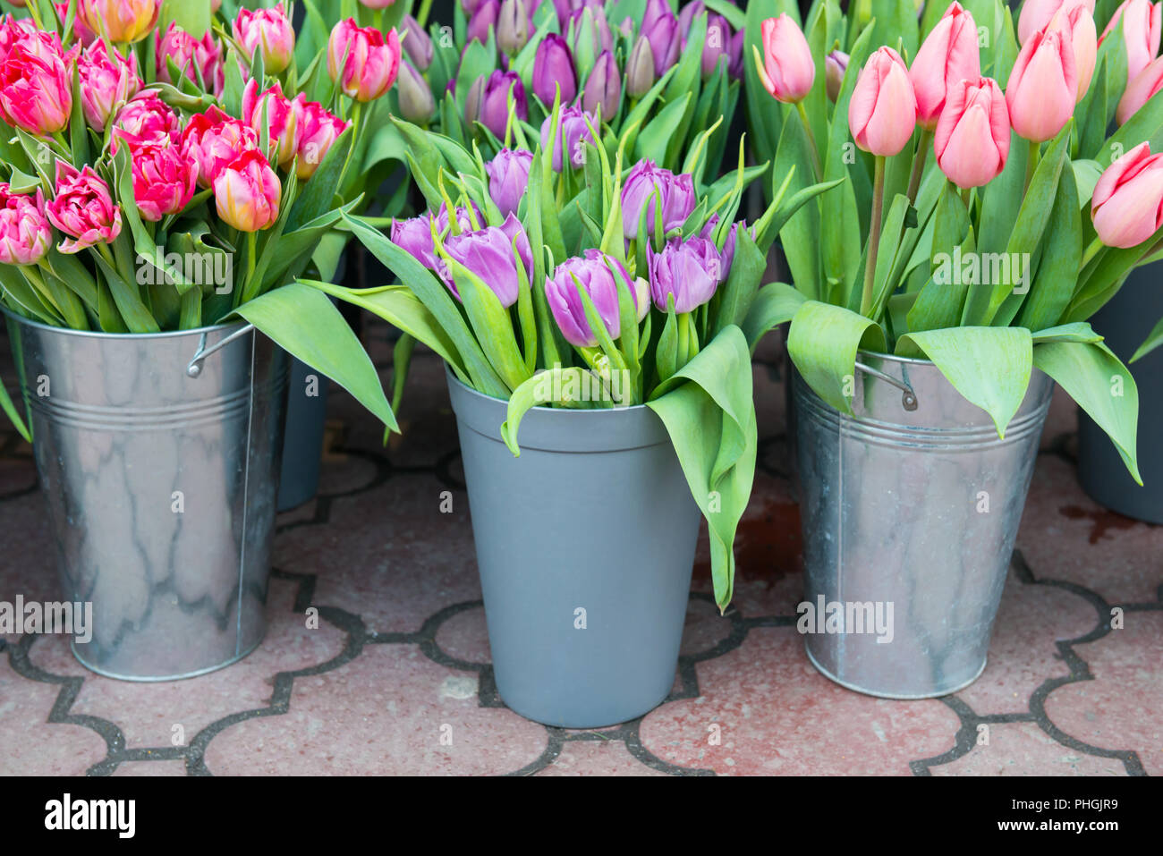 Flowers in buckets hires stock photography and images Alamy