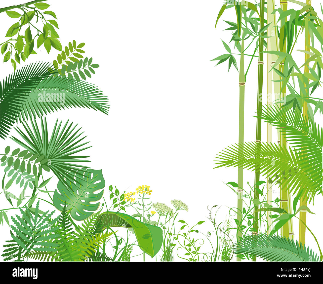 Exotic plants banner, illustration Stock Photo