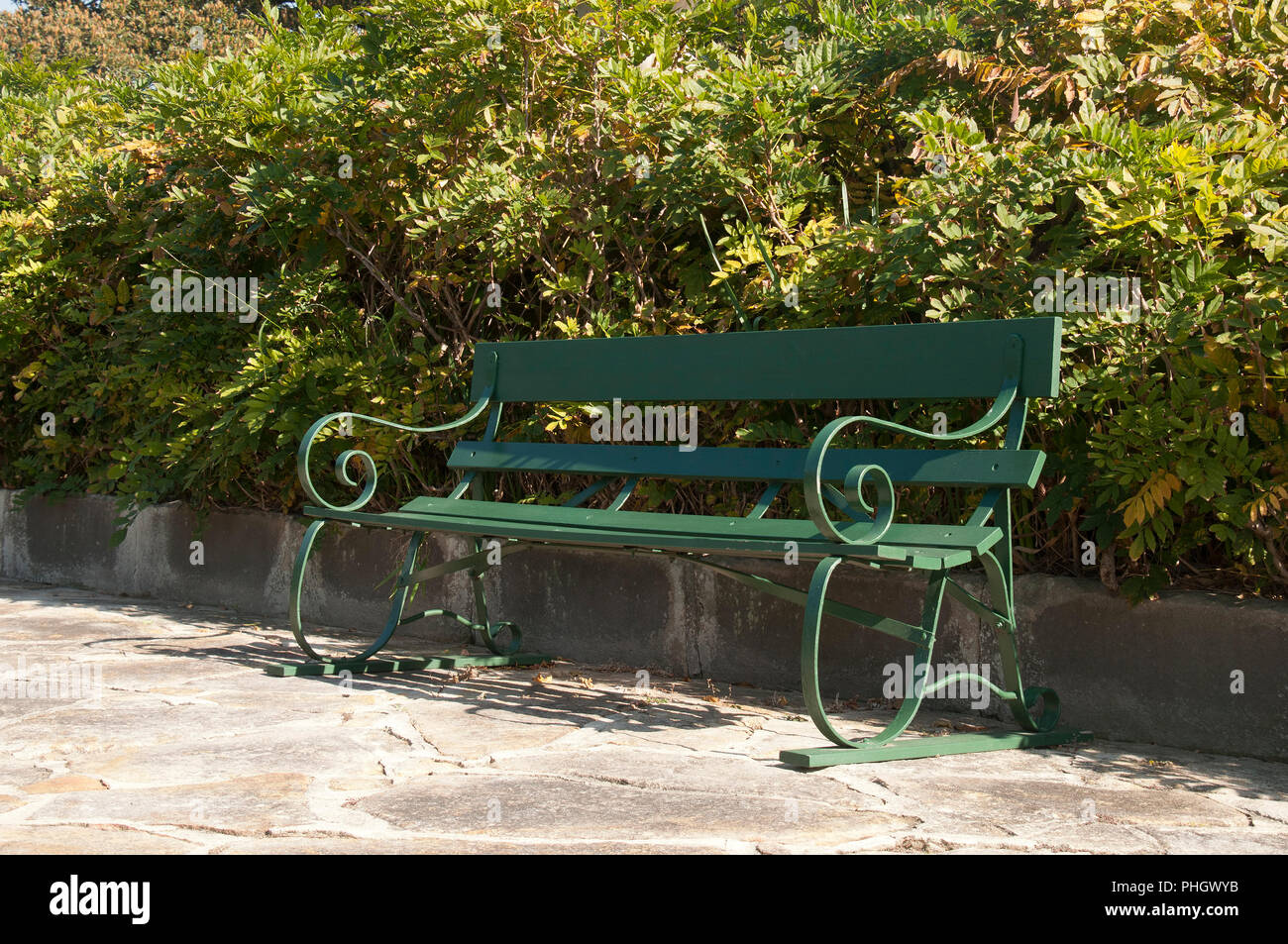 Sydney Australia Wooden Garden Bench In Front Of A Hedge Stock