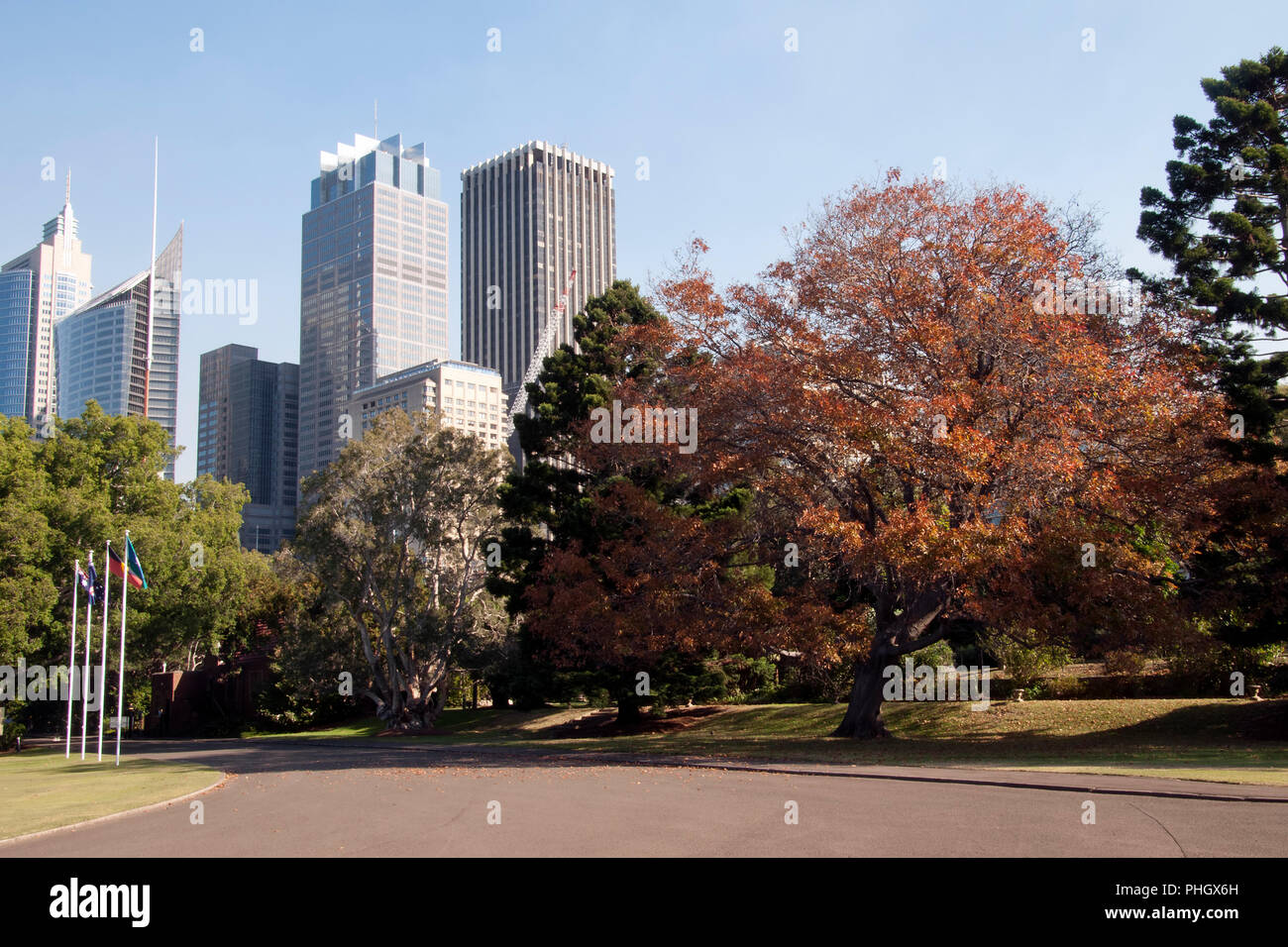 Sydney Australia, view of city buildings from  botanical gardens in autumn Stock Photo