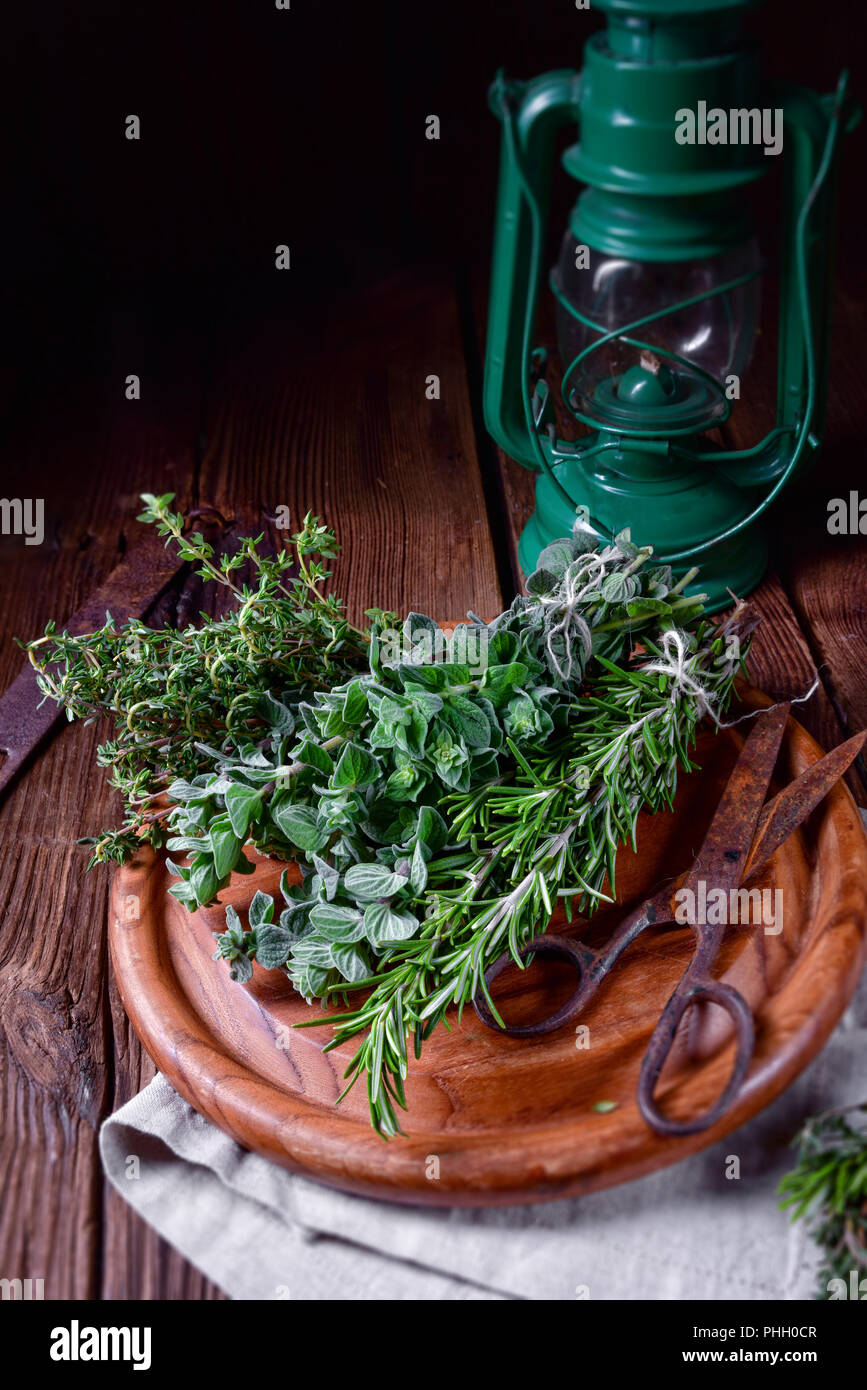 Herbal collection of thyme,oregano, rosemary Stock Photo Alamy
