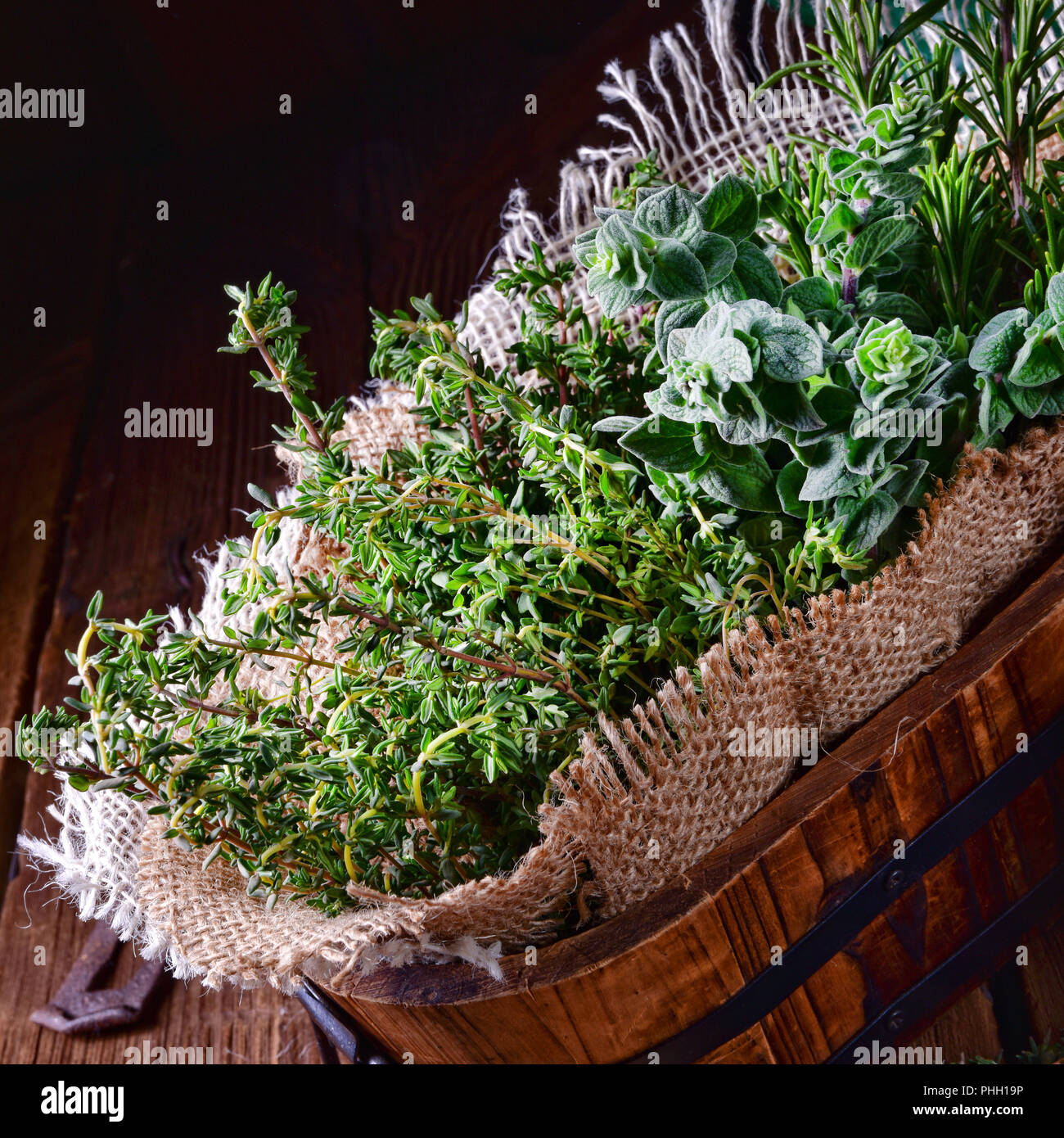 Herbal collection of thyme,oregano, rosemary Stock Photo Alamy