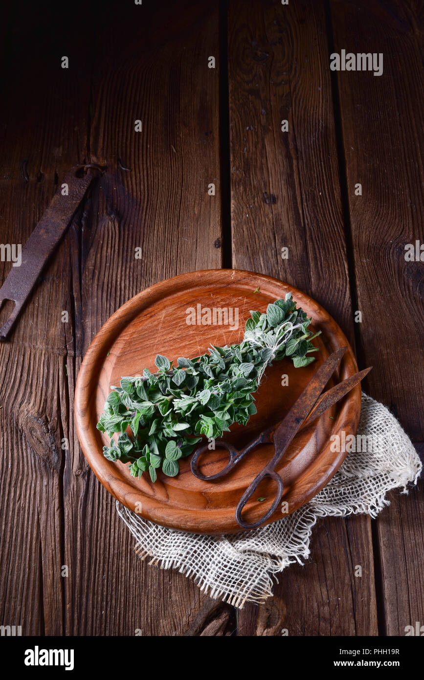 Aromatische Oregano (Origanum vulgare) Stock Photo