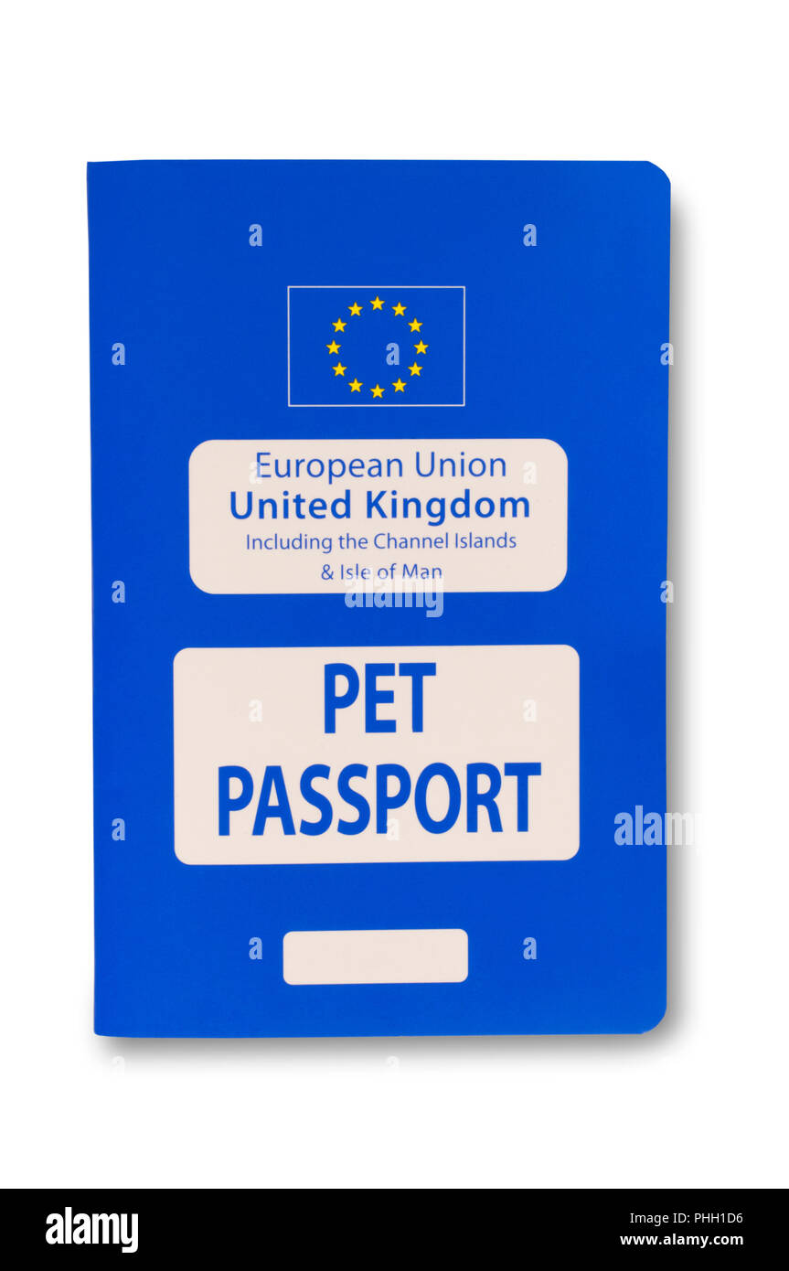 Studio shot of a European Pet Passport isolated on white - John Gollop Stock Photo