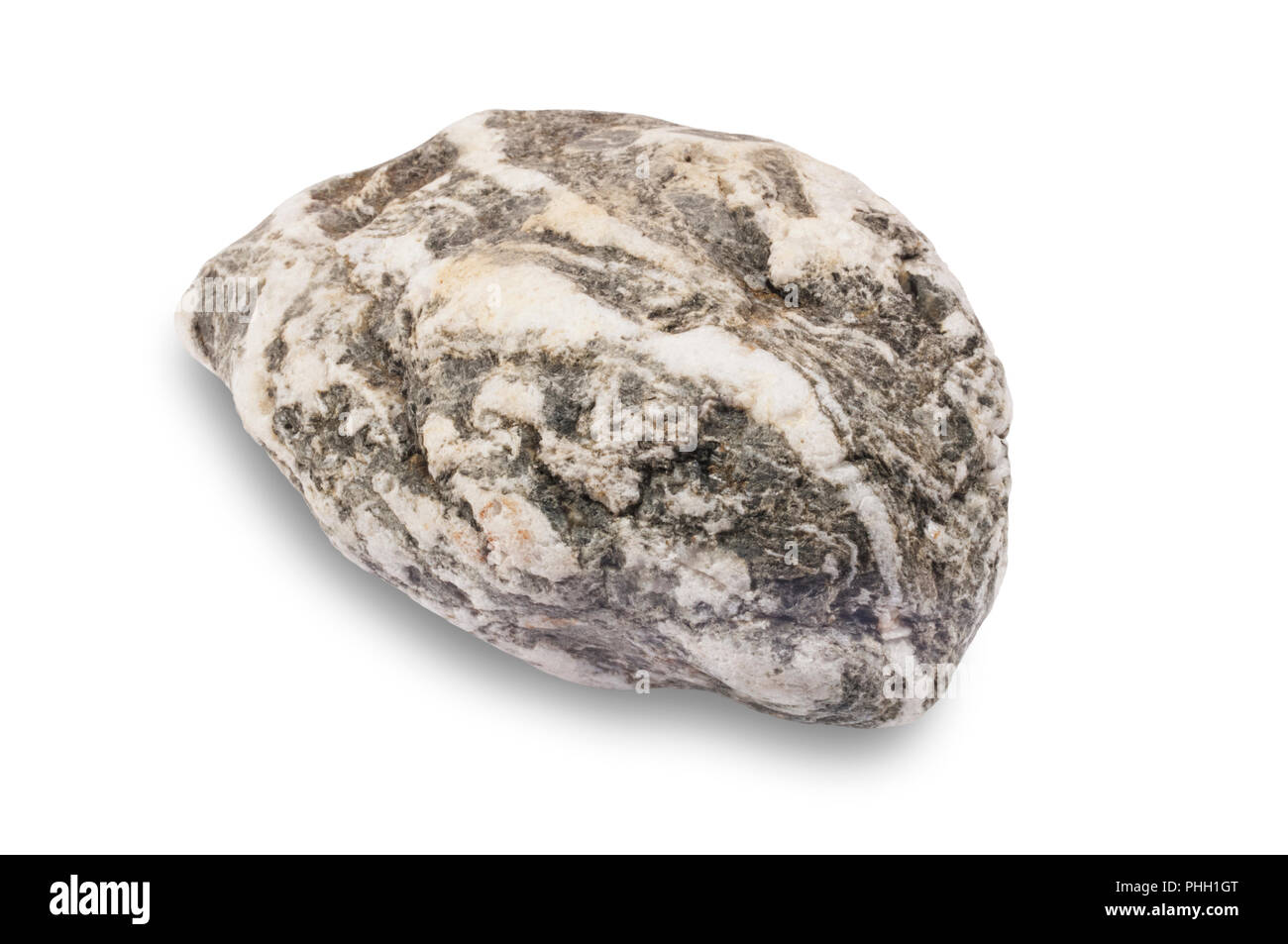 Studio image of devonian metamorphic rock, heavily veined by quartz, isolated on whet. Stock Photo