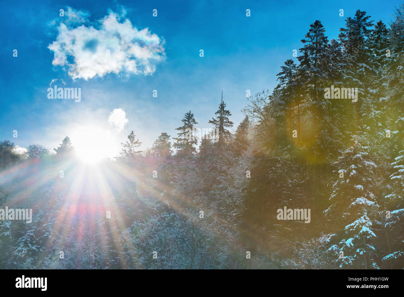 Sun rising from the mountain with forest Stock Photo