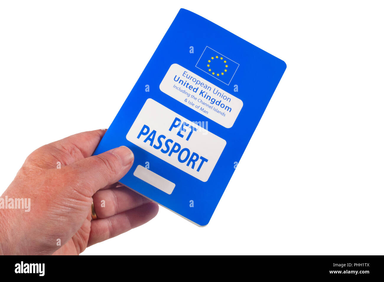 Studio image of a male hand holding a European pet passport isolated on white - John Gollop Stock Photo