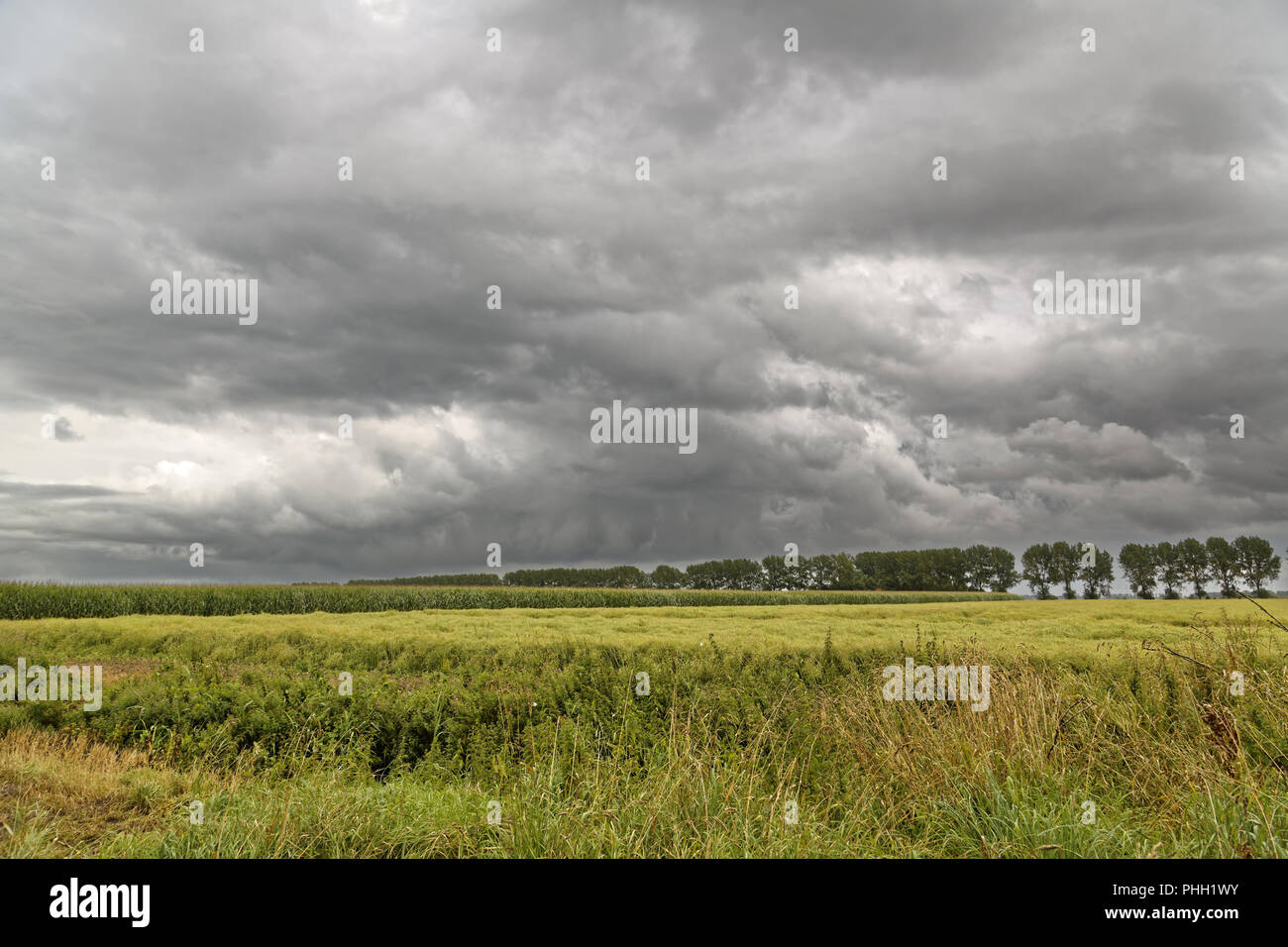 Rain clouds are moving across the land Stock Photo
