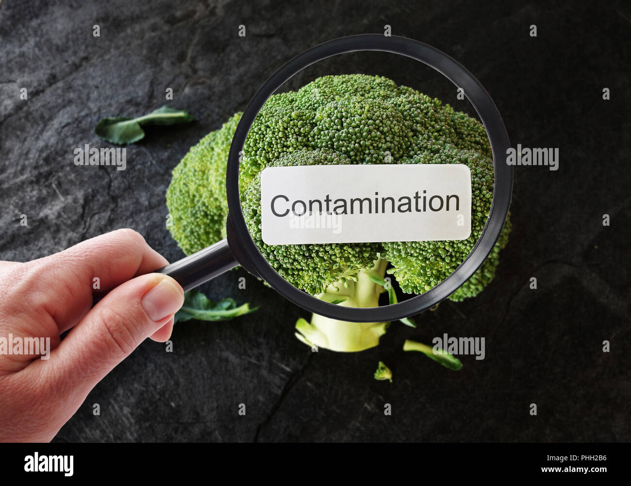Detecting food contamination Stock Photo