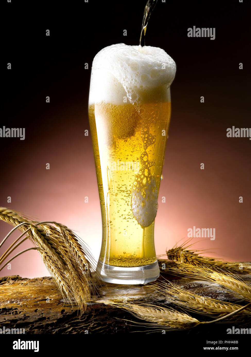 mug of frothy beer Stock Photo - Alamy