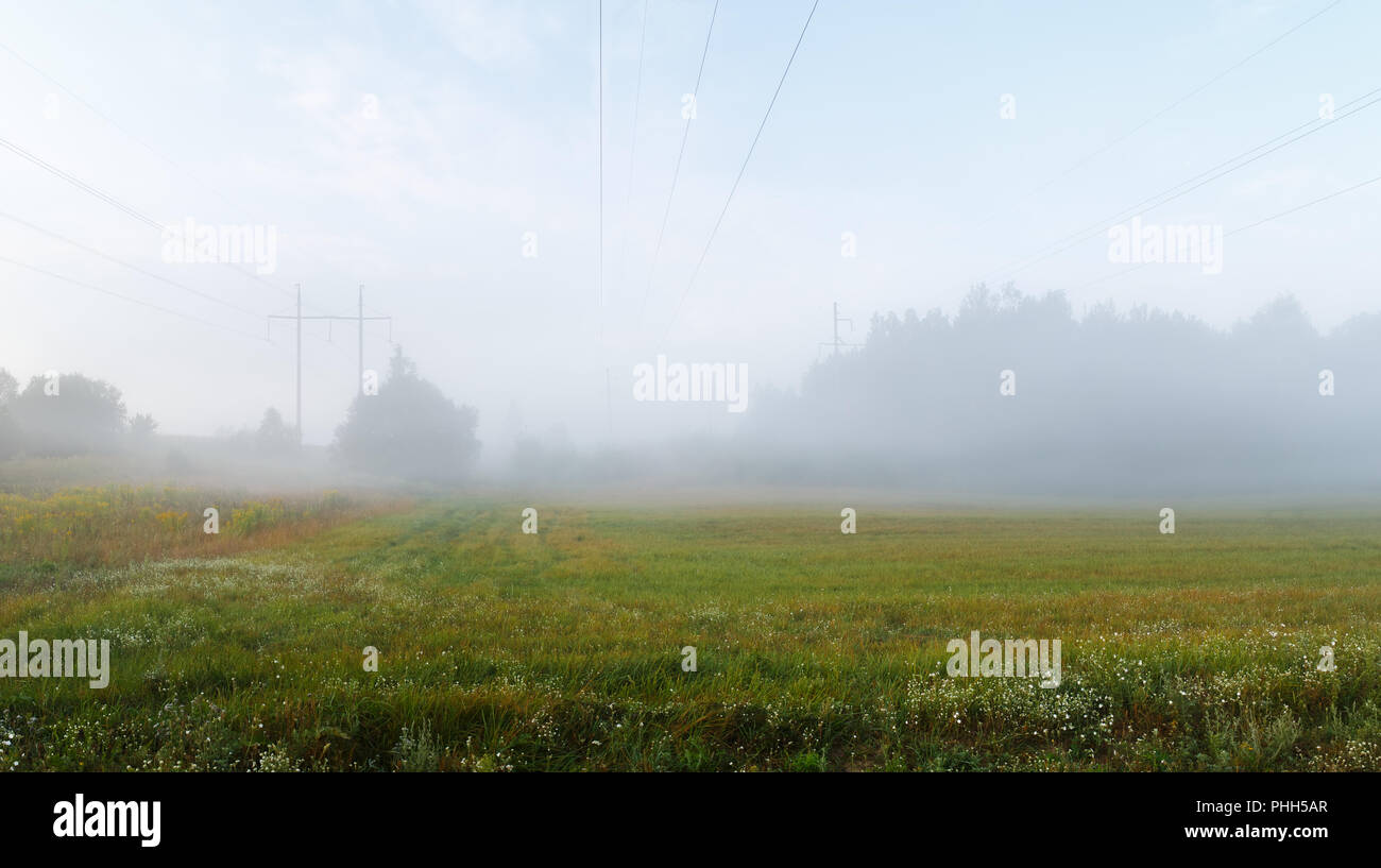 Fog over grass hi-res stock photography and images - Alamy