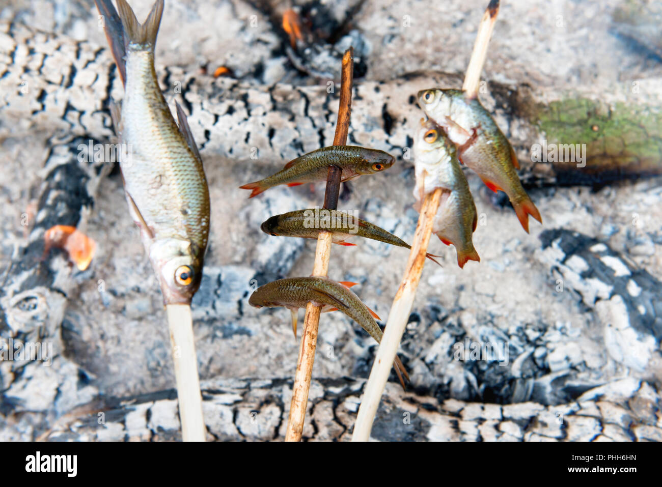 Grilled fish on the fire Stock Photo Alamy