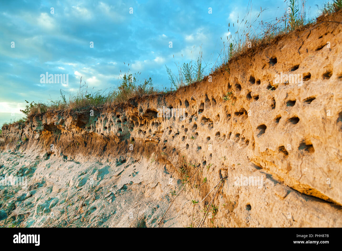 гнездо ласточки береговушки. в дырах на обрыве берега были гнезда. в дырах на обрыве берега были гнезда. клифф хаус. птенец ласточки береговушки.
