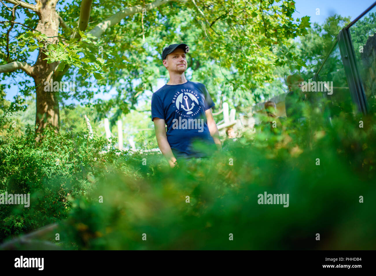 Berlin, Germany. 23rd Aug, 2018. 23.08.2018, Berlin: Tobias Rahde, curator at the Berlin Zoo, stands behind a bush next to the gorilla enclosure during a morning walk. Credit: Gregor Fischer/dpa/Alamy Live News Stock Photo