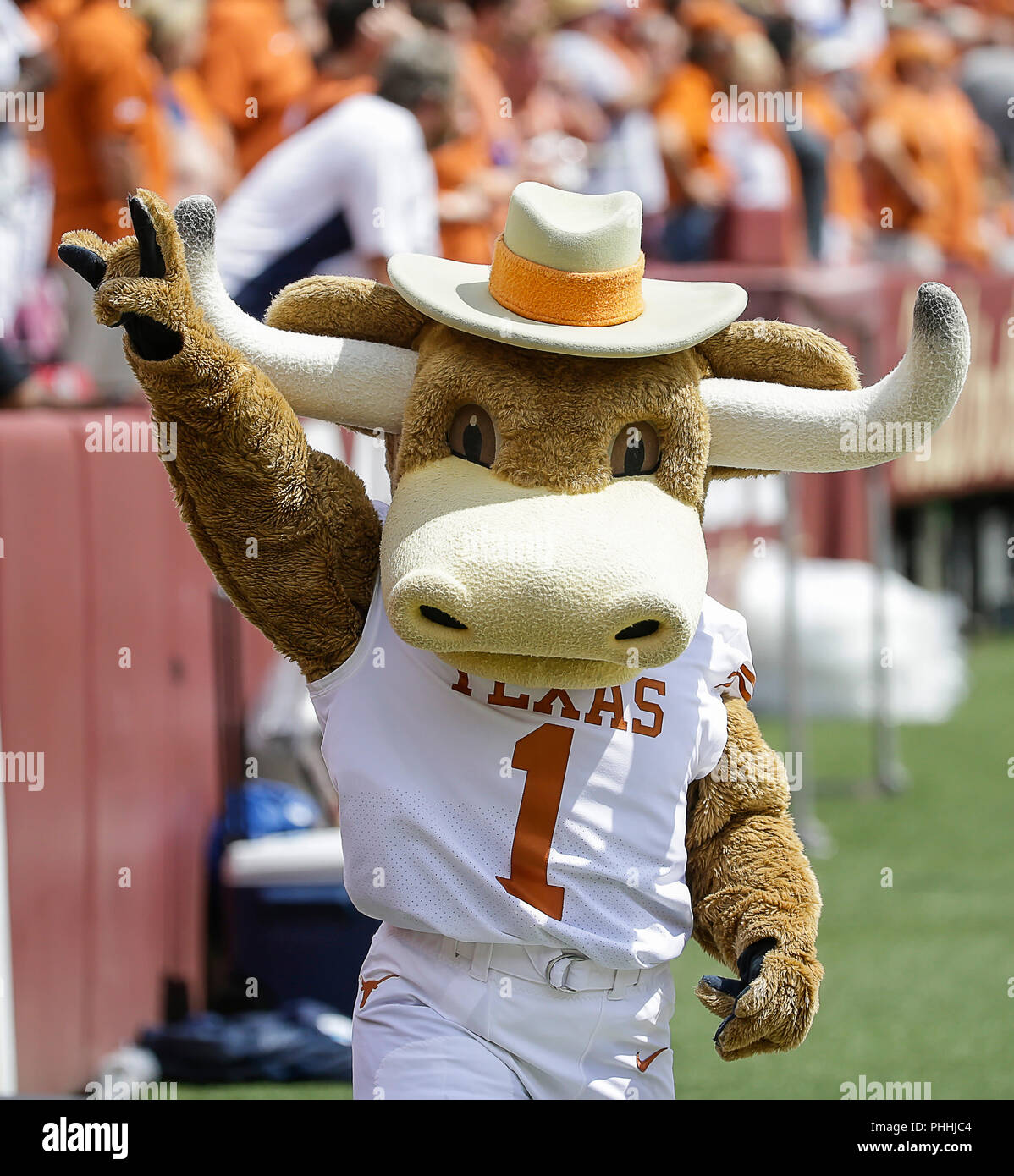 Maryland mascot hires stock photography and images Alamy