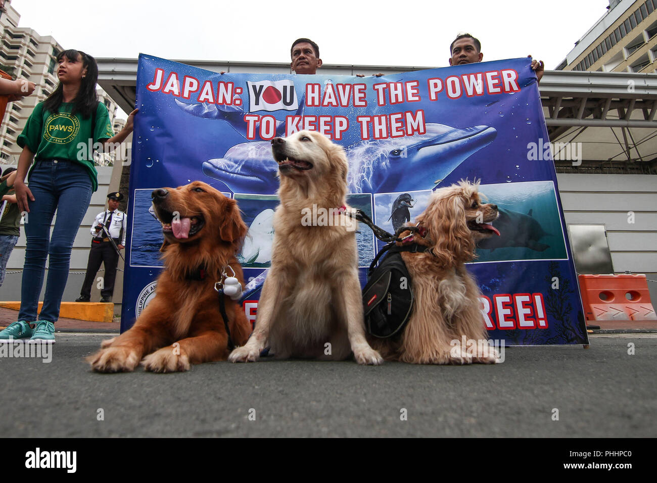 Philippines. 2nd Sep, 2018. Environmental and animal welfare groups lead by the Philippine Animal Welfare Society (PAWS) held a program in front of the Japanese embassy in Pasay City, Metro Manila, for the end of the whale and dolphin hunt by the Japanese government which kills hundreds of marine life for scientific purposes. The groups also called for the banning of the importation of beluga whales for shows and profit. Credit: J Gerard Seguia/ZUMA Wire/Alamy Live News Stock Photo