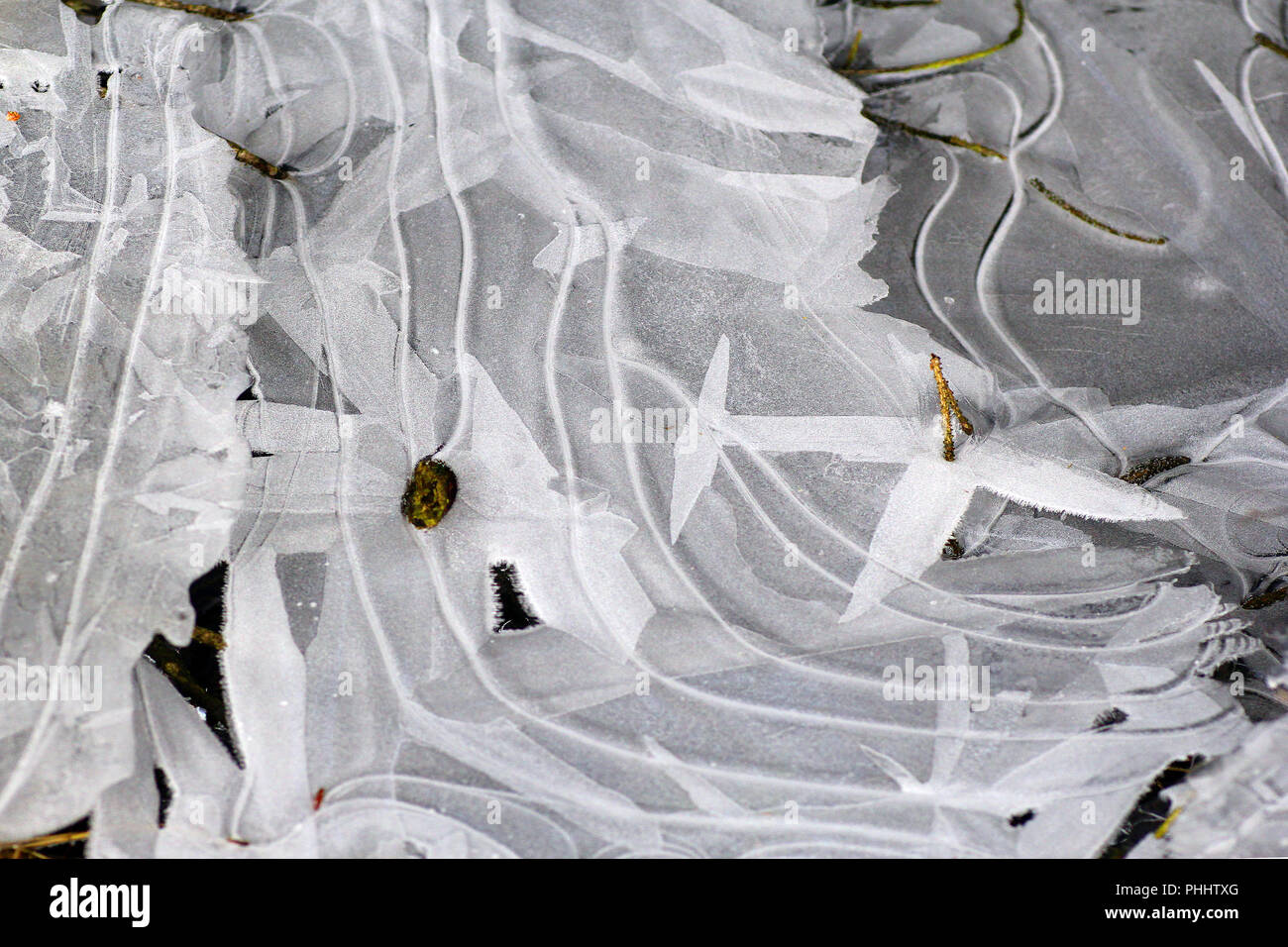 frozen water puddle Stock Photo - Alamy