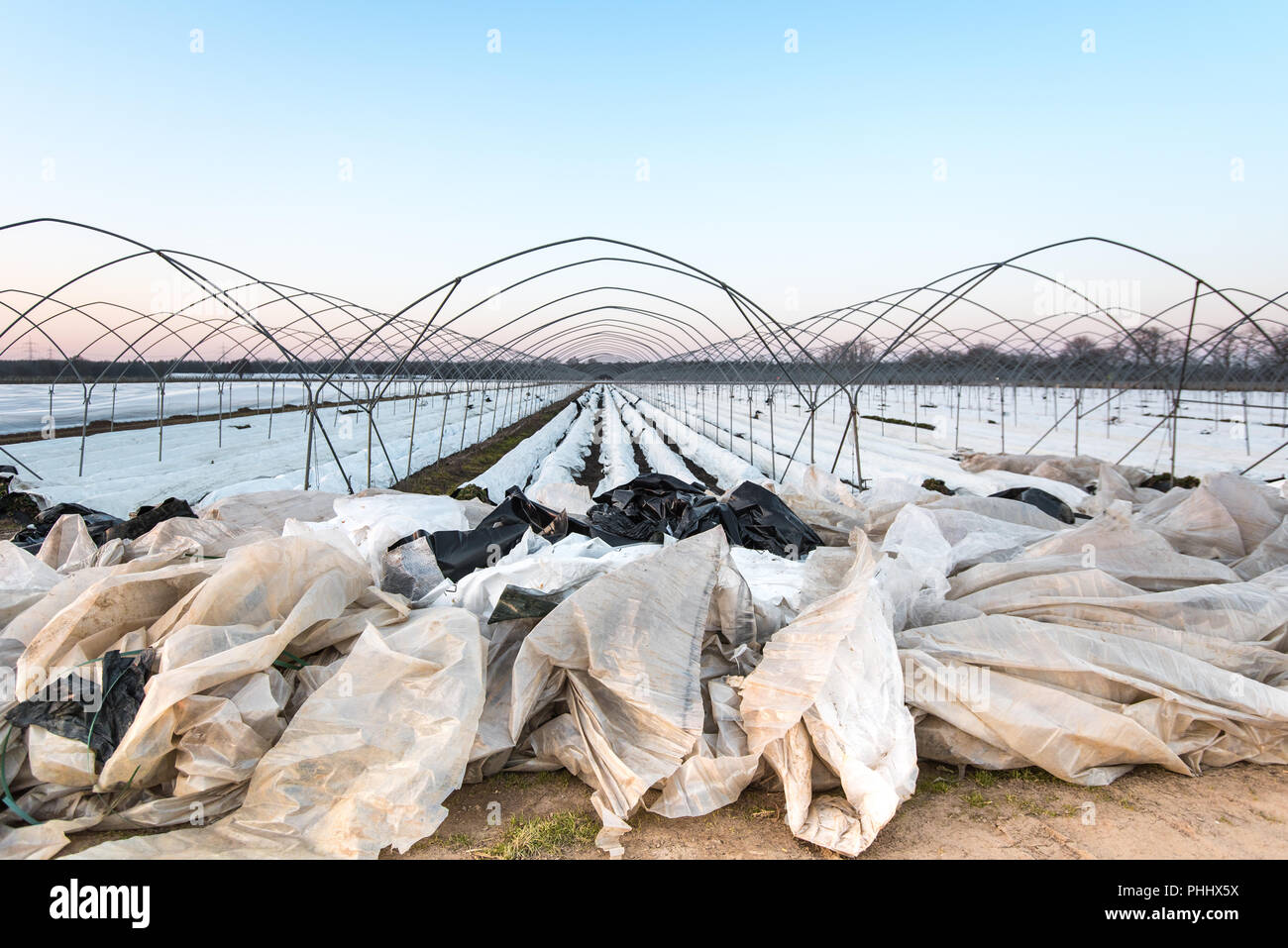 Waste of plastic film for agricultue Stock Photo