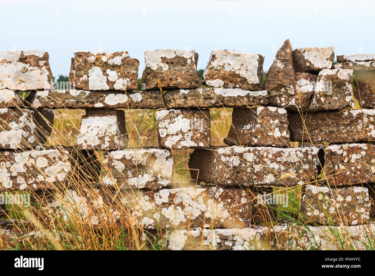 Old stone wall in the meadow Stock Photo - Alamy