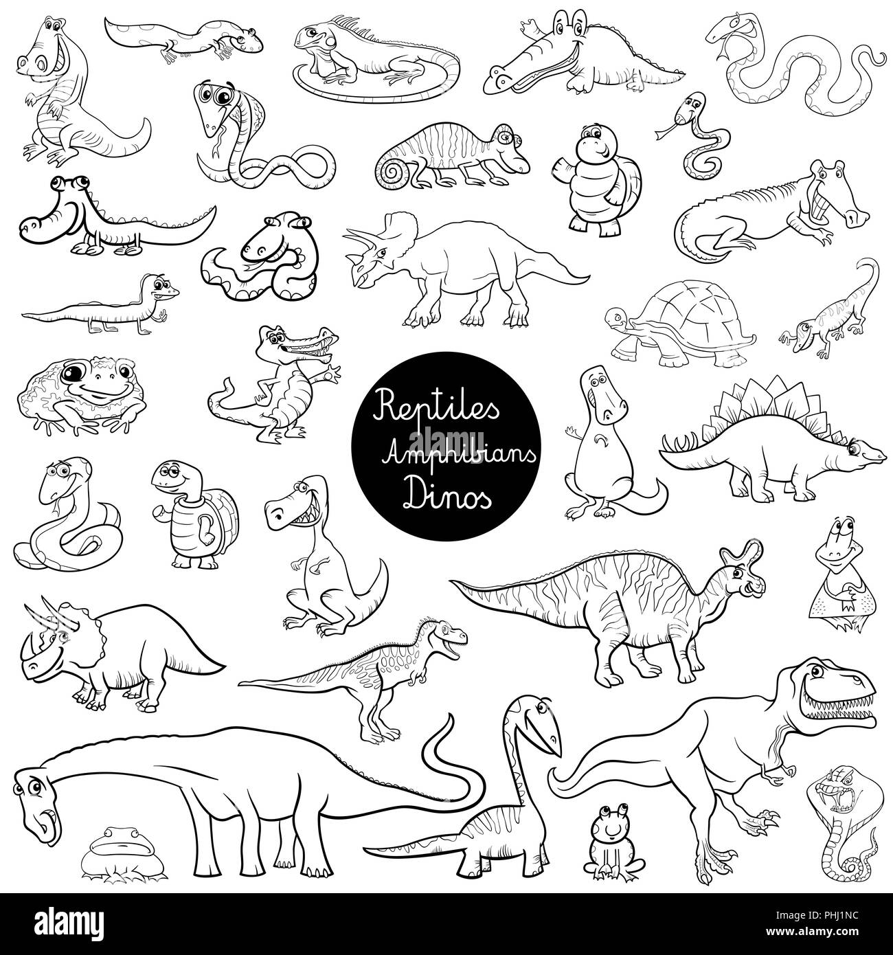 reptiles and amphibians set color book Stock Photo