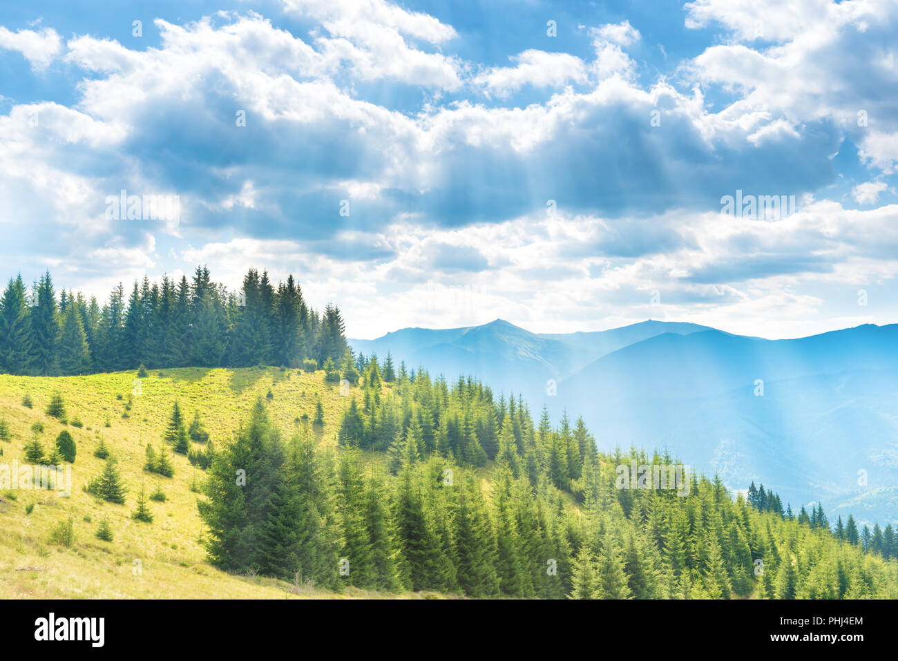 Green forest blue sky hi-res stock photography and images - Alamy