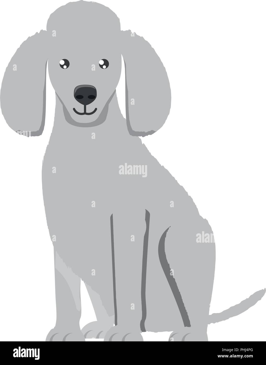 cute poodle dog icon over white background, vector illustration Stock ...