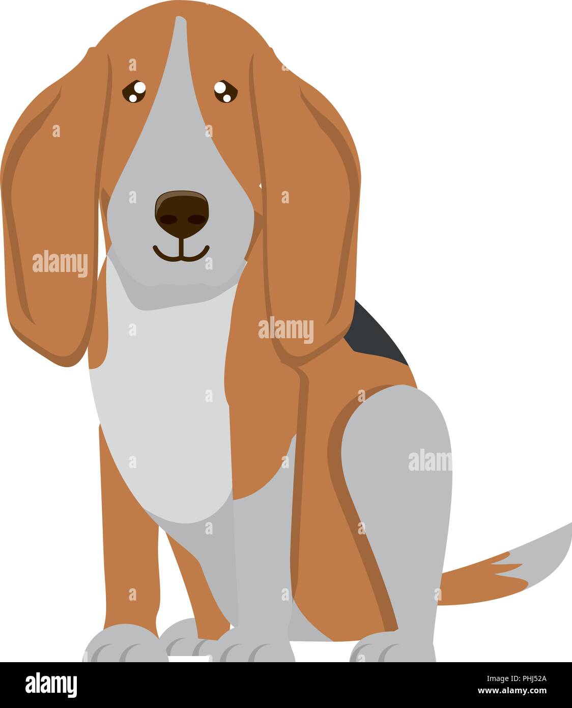 cute basset hound dog icon over background, vector illustration Stock ...