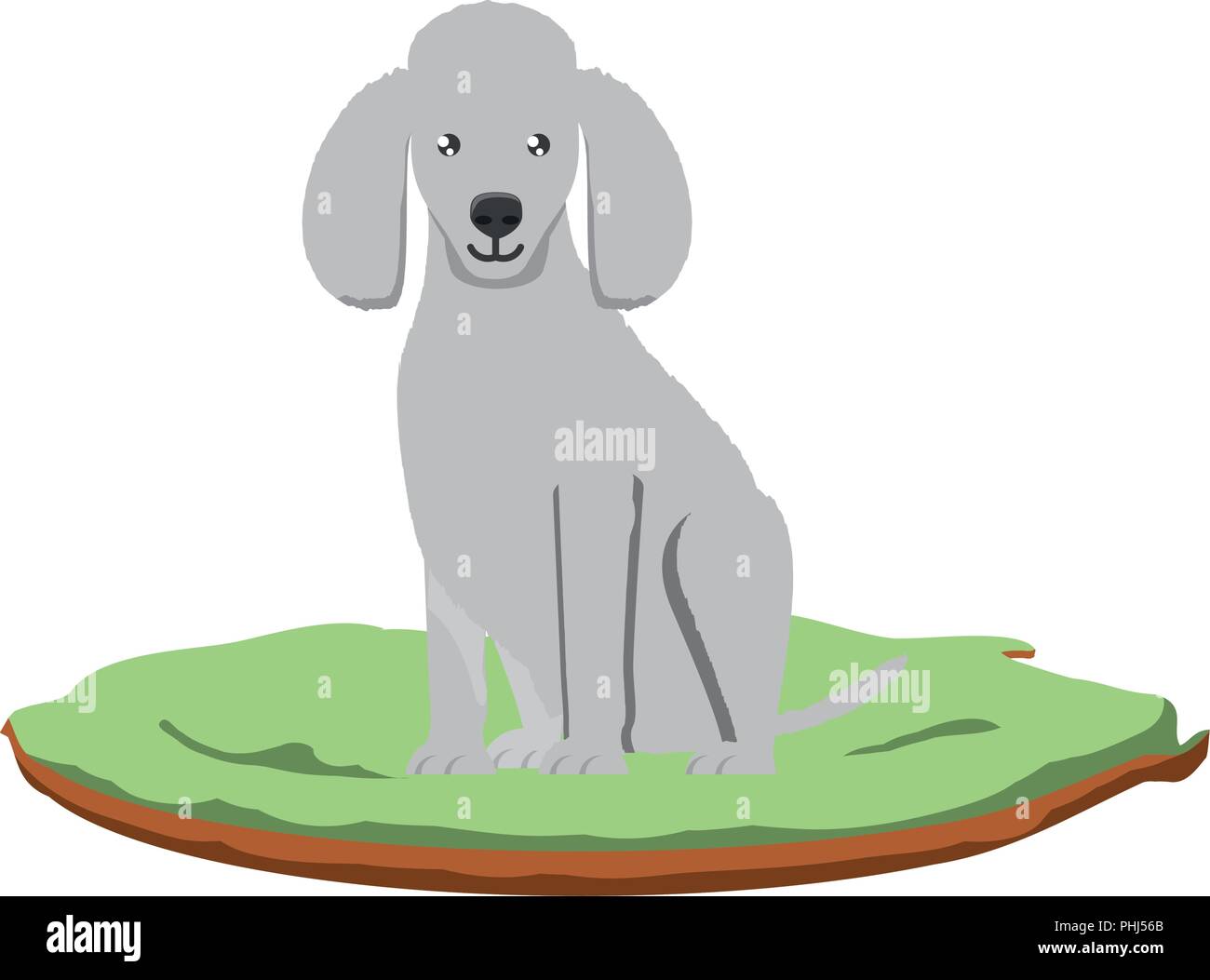 cute poodle dog icon over background, vector illustration Stock Vector ...