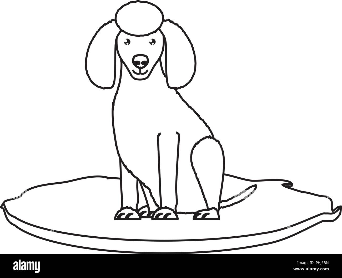 cute poodle dog icon over white background, vector illustration Stock ...