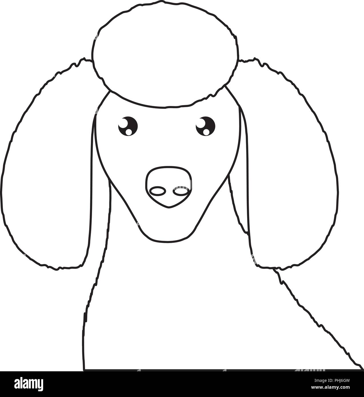 cute poodle dog icon over white background, vector illustration Stock ...