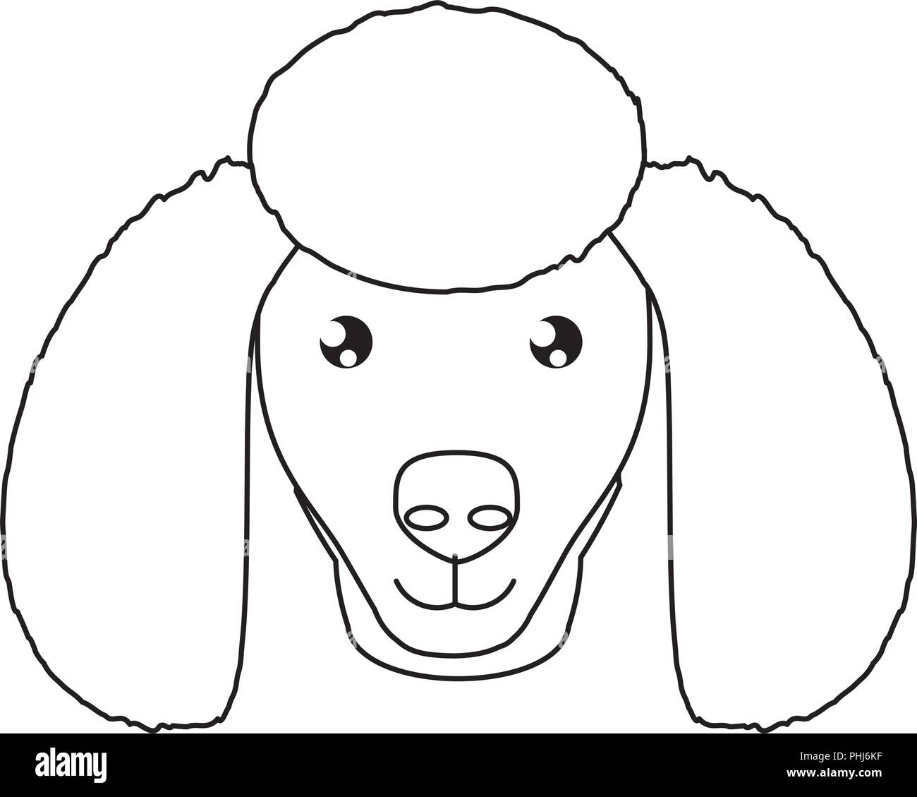 cute poodle dog icon over background, vector illustration Stock Vector ...